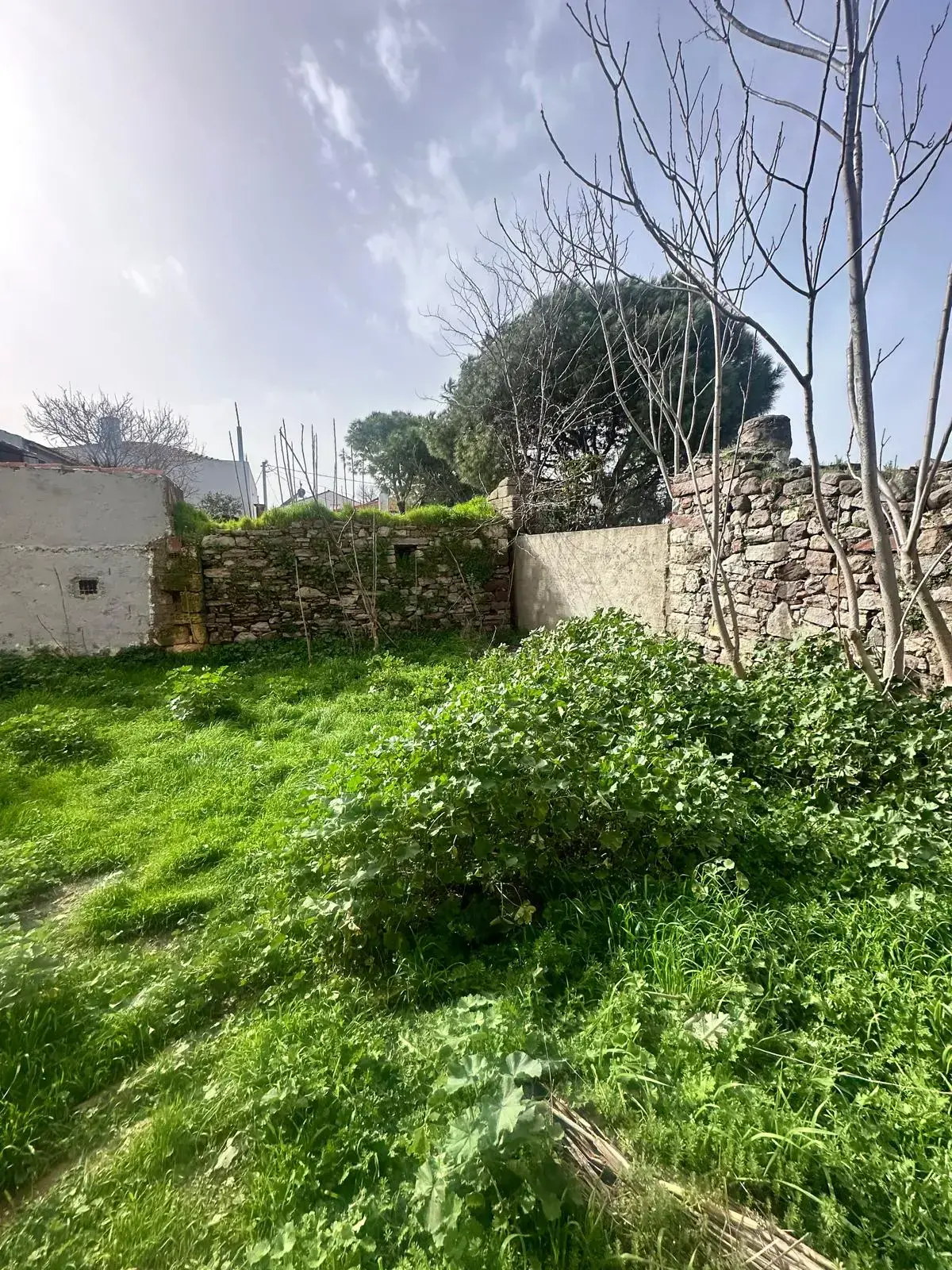 BALIKESİR AYVALIK KÜÇÜKKÖYDE SATILIK ARSA