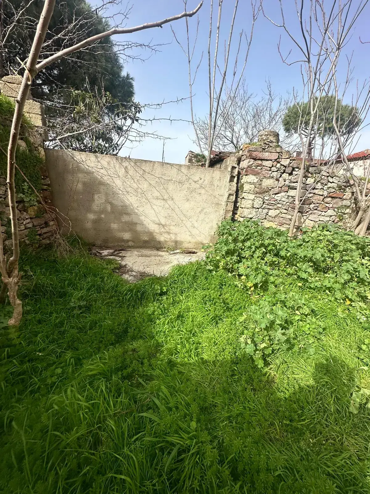 BALIKESİR AYVALIK KÜÇÜKKÖYDE SATILIK ARSA