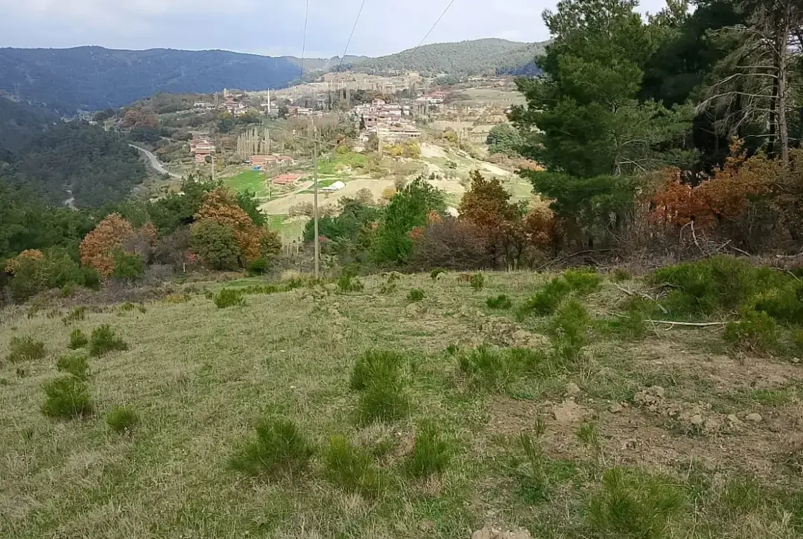 KOZLUÖREN MAHALLESİNDE SATILIK TARLA