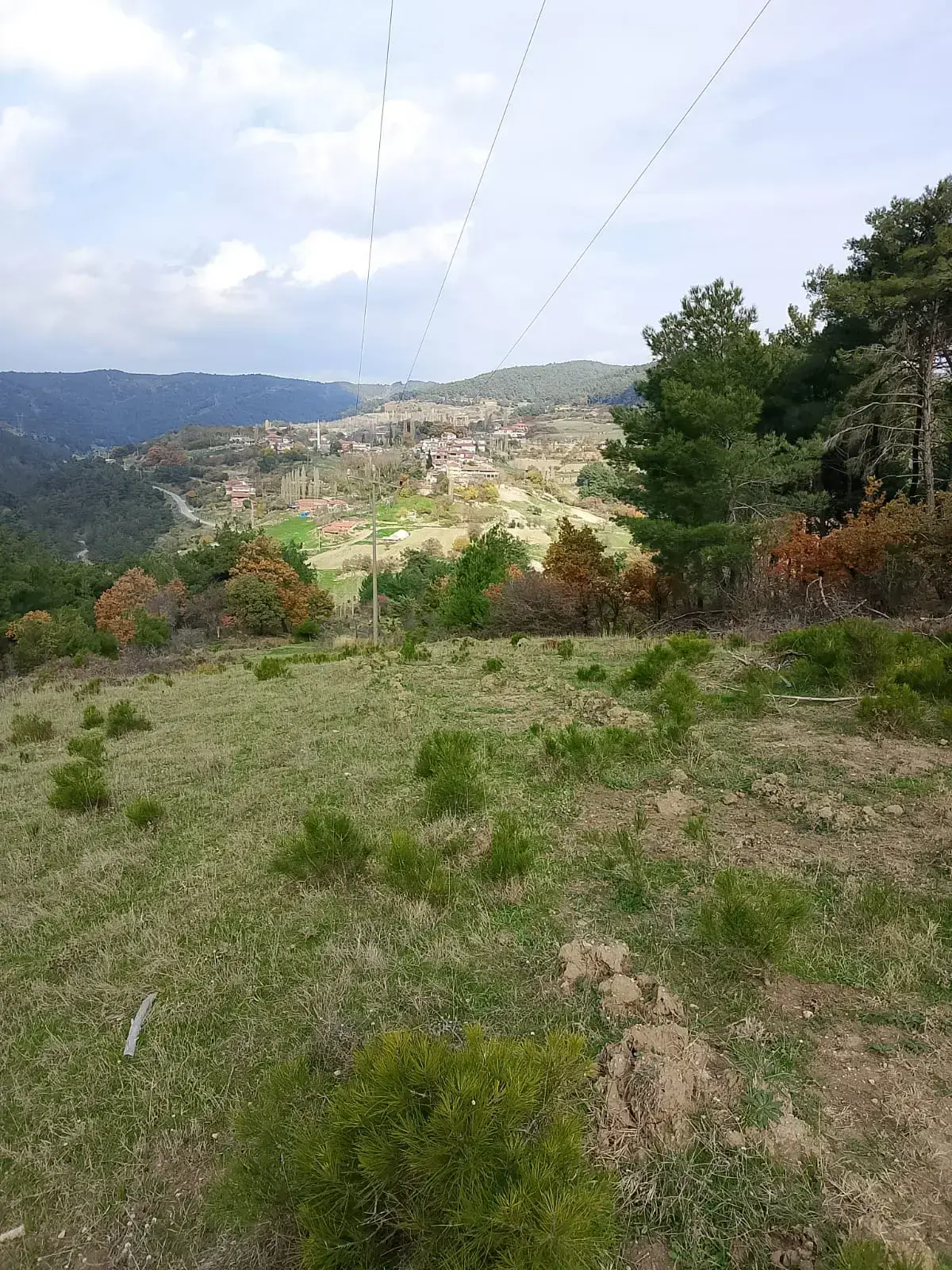 KOZLUÖREN MAHALLESİNDE SATILIK TARLA