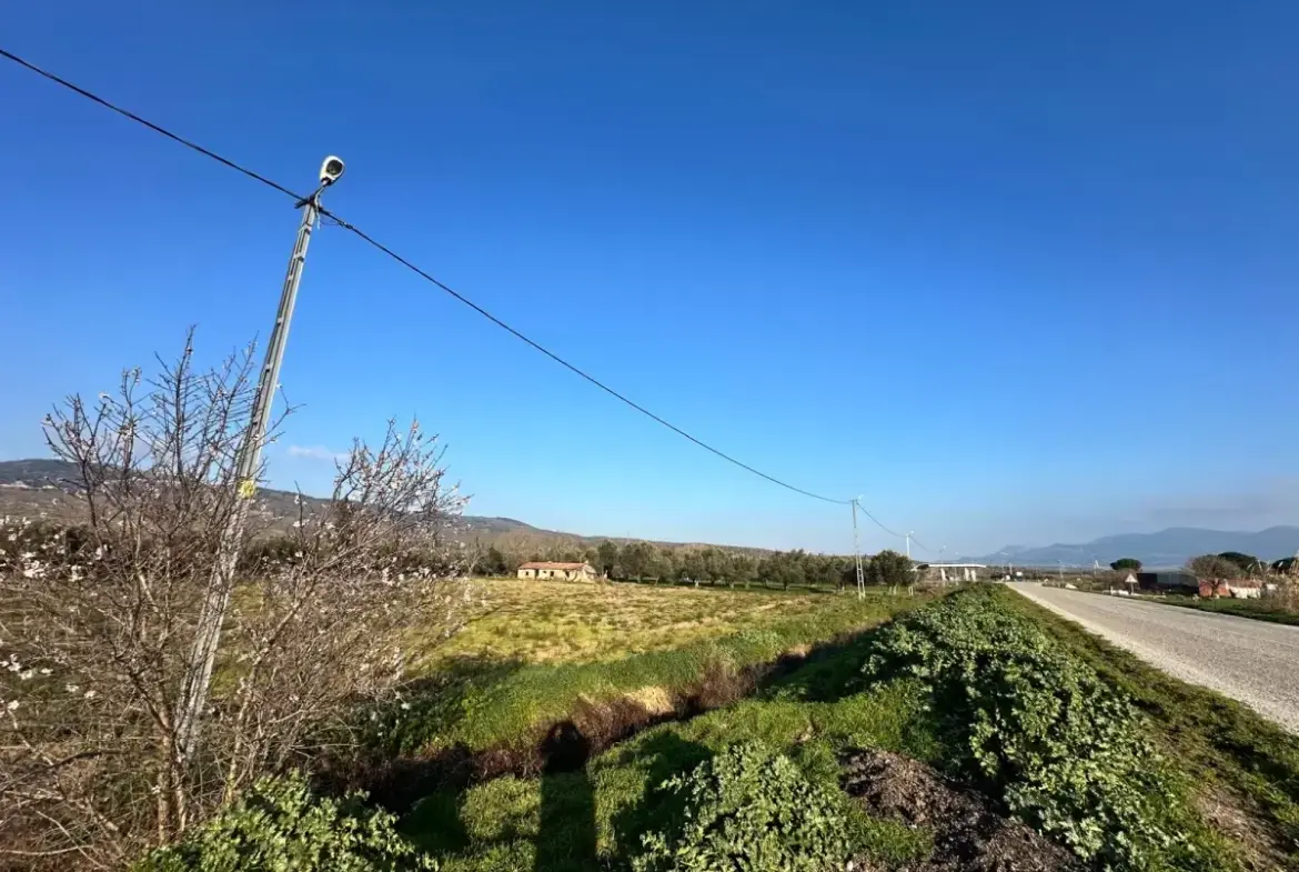 İZMİR BERGAMA GÖÇBEYLİ MAHALLESİNDE SATILIK TARLA