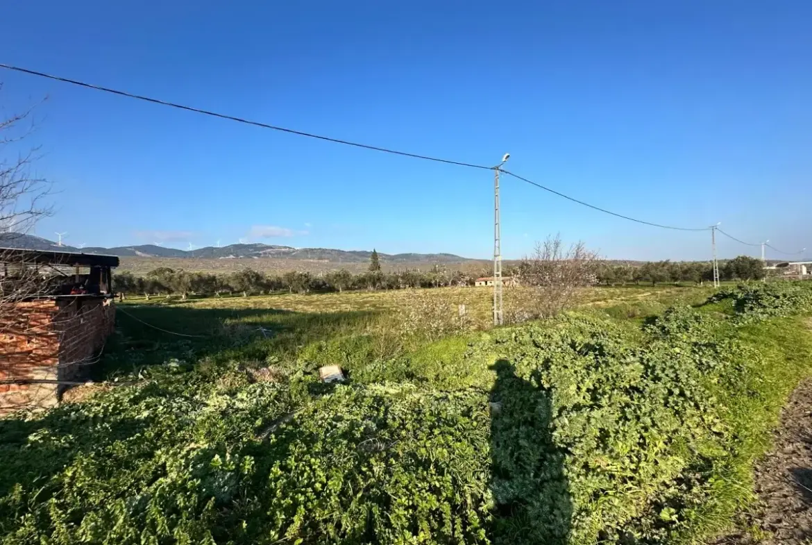 İZMİR BERGAMA GÖÇBEYLİ MAHALLESİNDE SATILIK TARLA