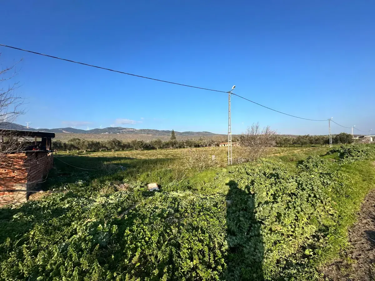 1dbe6b7c-ca29-41ba-a8be-3830ea860653-2 İZMİR BERGAMA GÖÇBEYLİ MAHALLESİNDE SATILIK TARLA