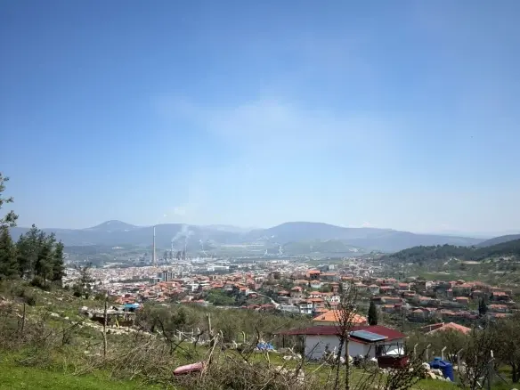 KARAMANLI MAHALLESİNDE SATILIK ZEYTİNLİK
