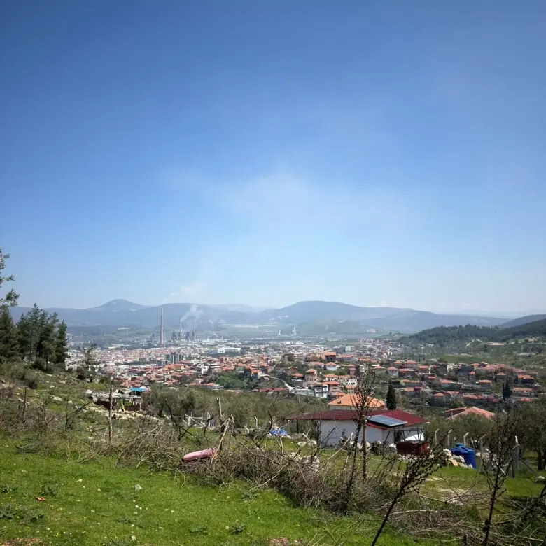 KARAMANLI MAHALLESİNDE SATILIK ZEYTİNLİK