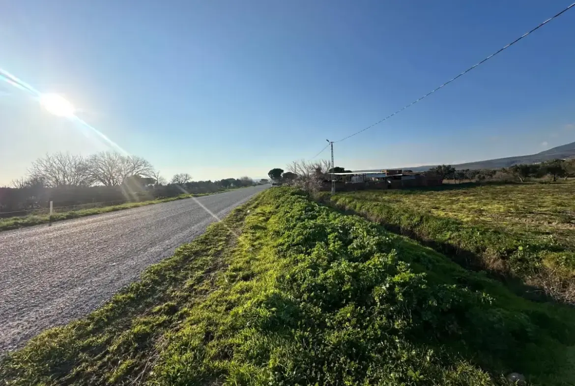 İZMİR BERGAMA GÖÇBEYLİ MAHALLESİNDE SATILIK TARLA
