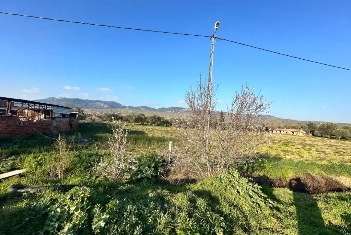 İZMİR BERGAMA GÖÇBEYLİ MAHALLESİNDE SATILIK TARLA