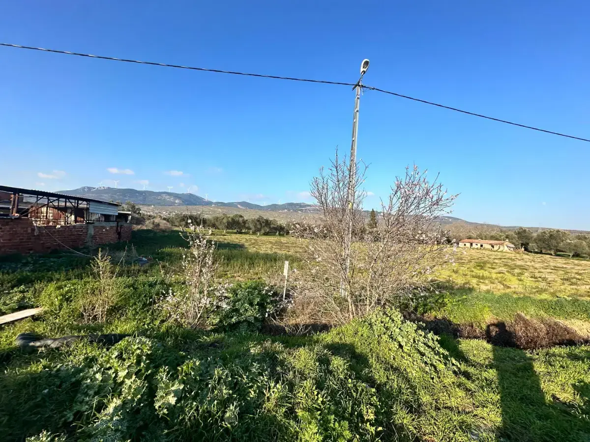 84627b76-7251-4a48-949a-5a630c6d84ab-2 İZMİR BERGAMA GÖÇBEYLİ MAHALLESİNDE SATILIK TARLA