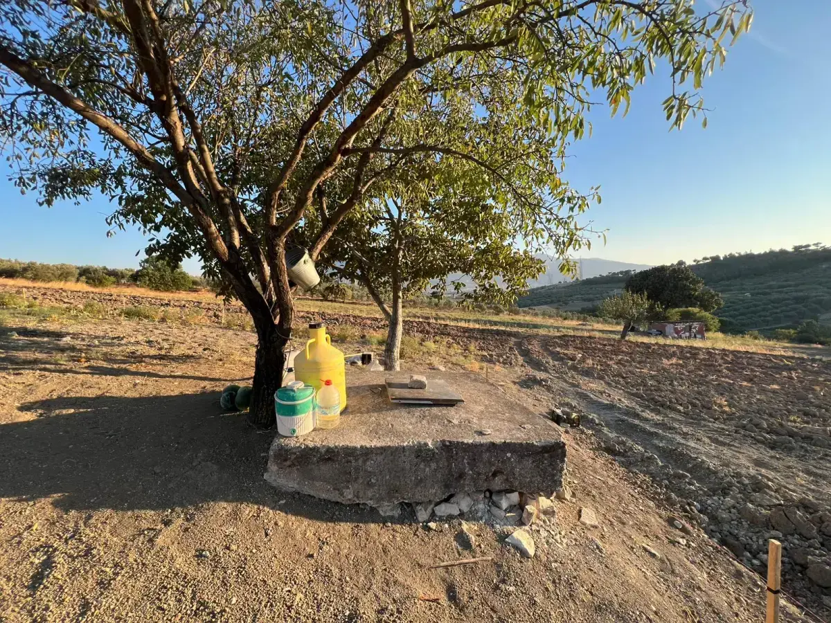 BÜYÜKGÜNEY MAHALLESİNDE SATILIK TARLA