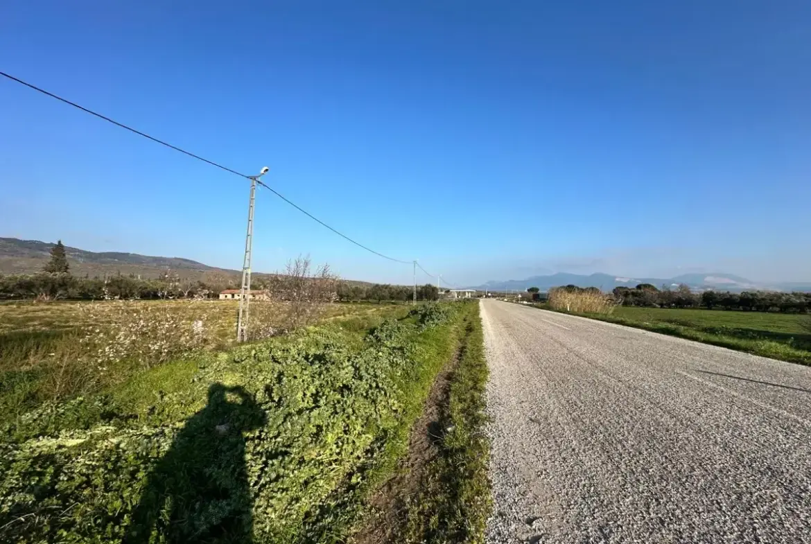 İZMİR BERGAMA GÖÇBEYLİ MAHALLESİNDE SATILIK TARLA