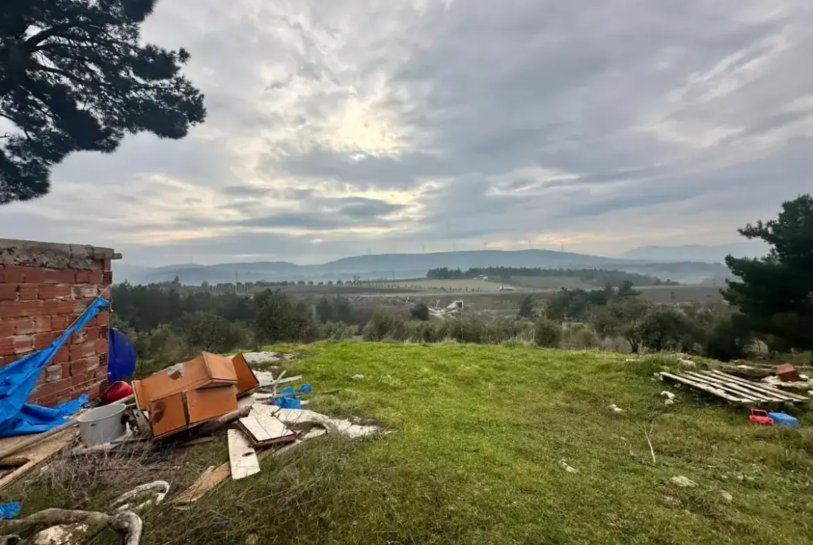 SOMA KUMKÖY'DE SATILIK ZEYTİNLİK