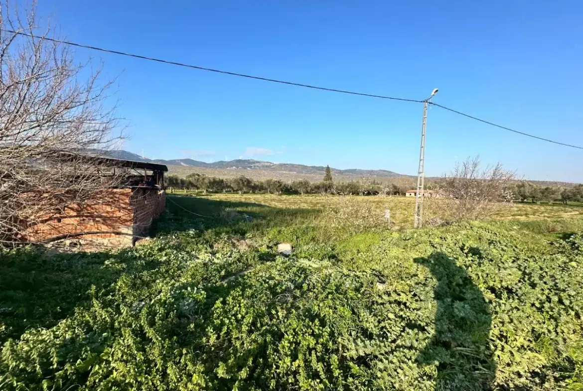 İZMİR BERGAMA GÖÇBEYLİ MAHALLESİNDE SATILIK TARLA