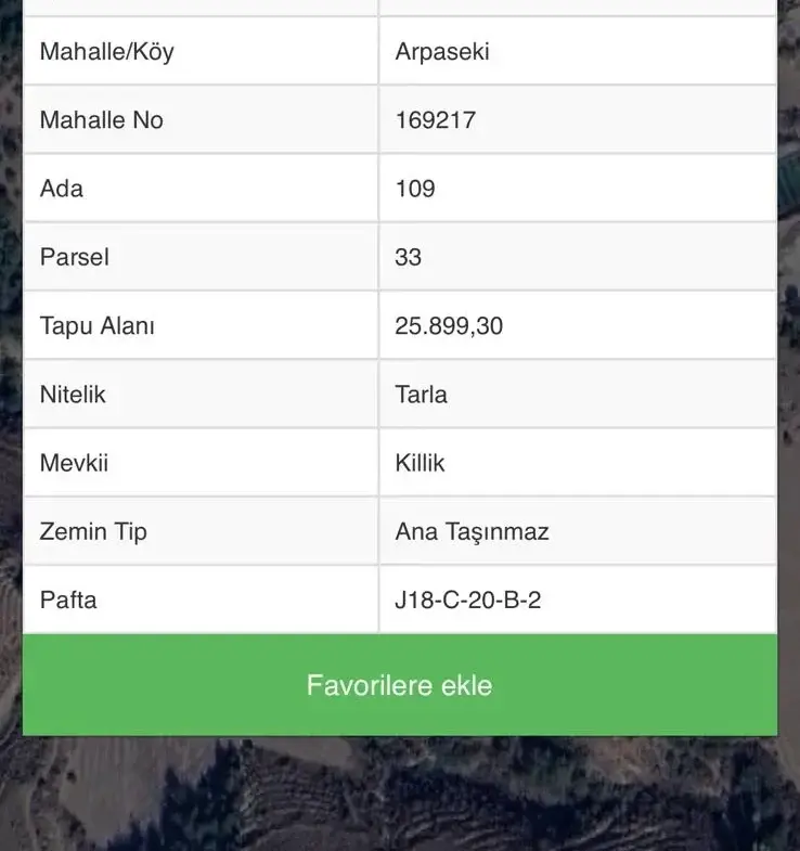 İZMİR KINIK ARPASEKİ MAHALLESİNDE SATILIK ZEYTİNLİK