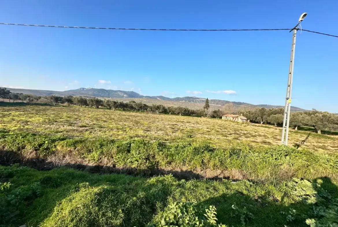 İZMİR BERGAMA GÖÇBEYLİ MAHALLESİNDE SATILIK TARLA