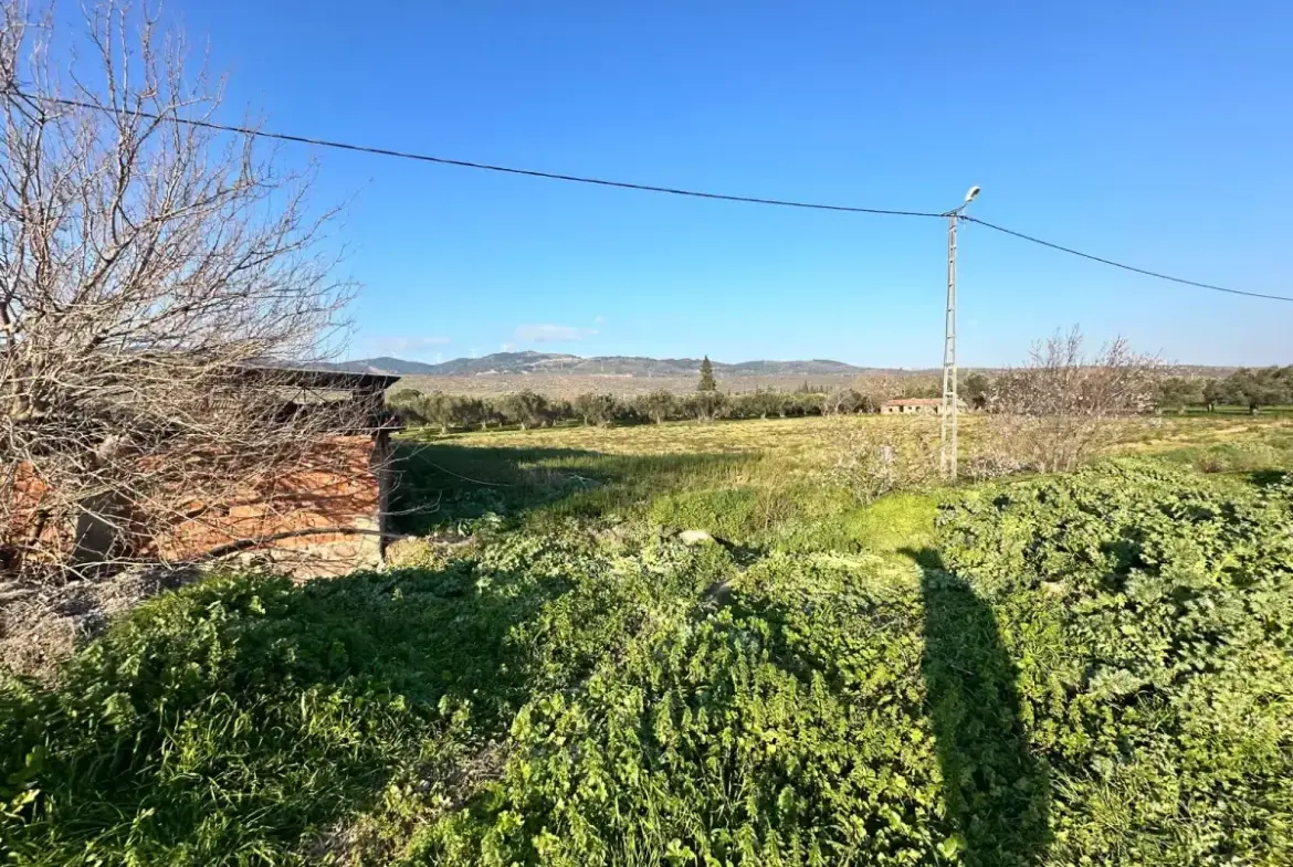 İZMİR BERGAMA GÖÇBEYLİ MAHALLESİNDE SATILIK TARLA