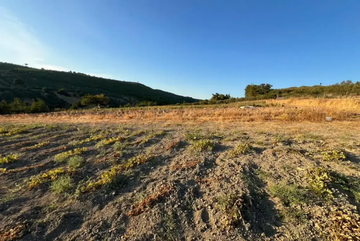 BÜYÜKGÜNEY MAHALLESİNDE SATILIK TARLA