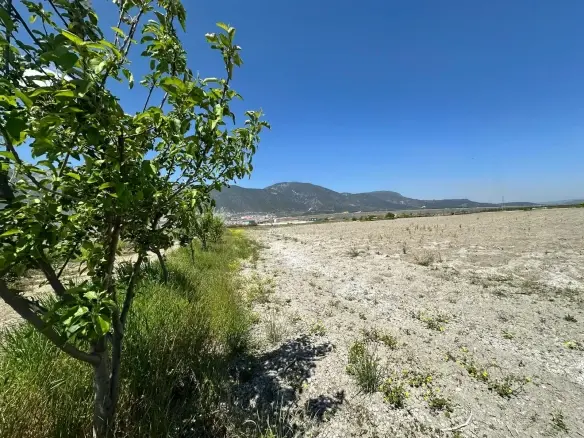 KIRKAĞAÇ TEVFİKİYE MAHALLESİNDE SATILIK ARAZİ