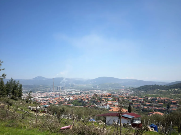KARAMANLI MAHALLESİNDE SATILIK ZEYTİNLİK