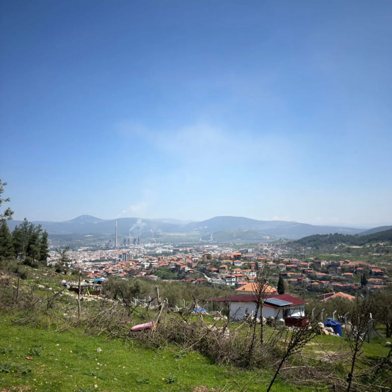 KARAMANLI MAHALLESİNDE SATILIK ZEYTİNLİK