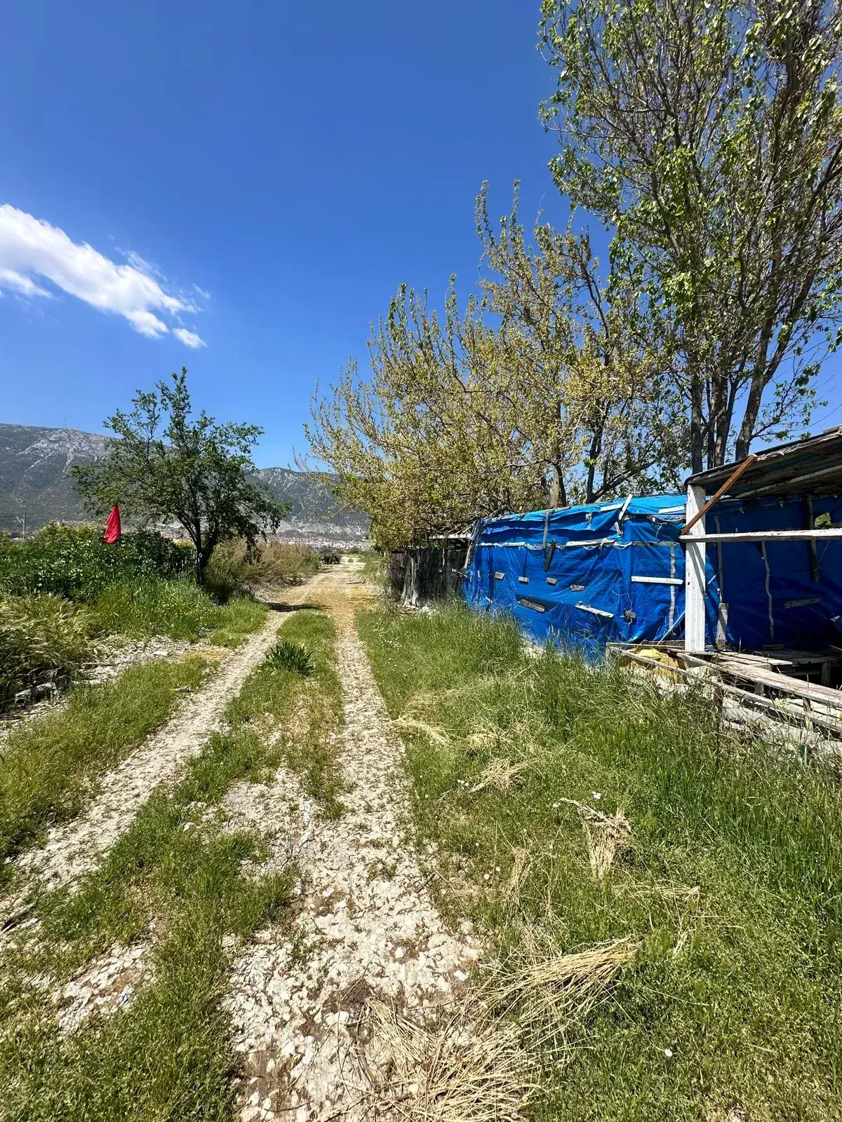 KIRKAĞAÇ TEVFİKİYE MAHALLESİNDE SATILIK ARAZİ