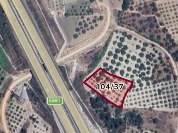 YIRCA MAHALLESİNDE SATILIK ZEYTİNLİK