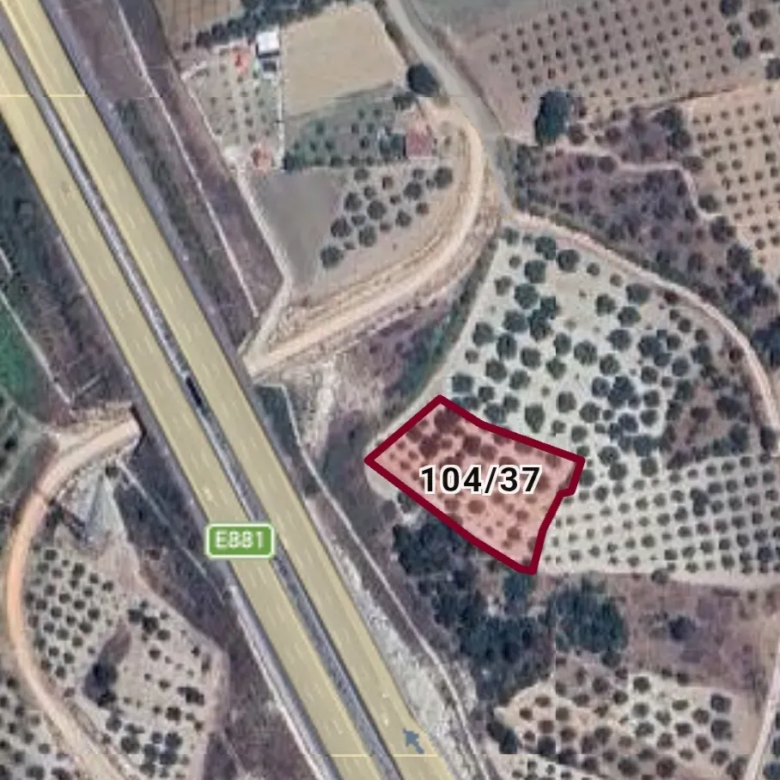 YIRCA MAHALLESİNDE SATILIK ZEYTİNLİK