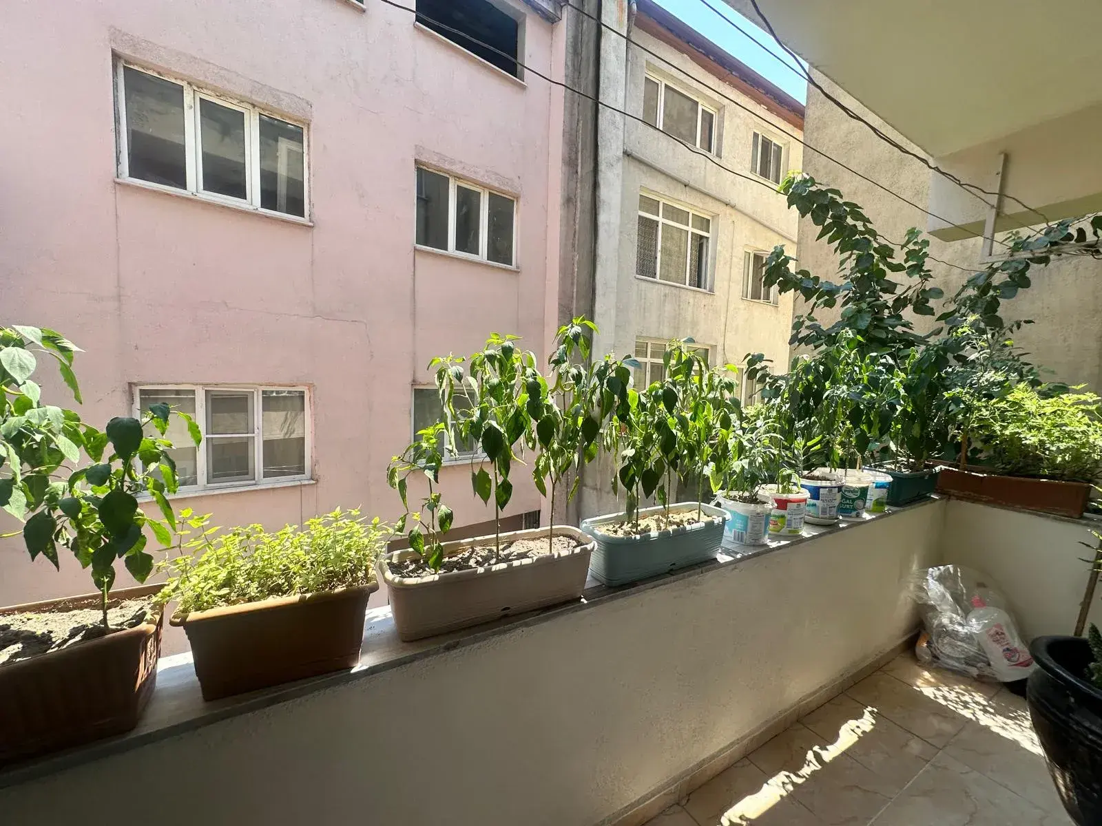 e5c488f5-cb47-4861-a750-1891ec4ef4bb PAZAR YERİ CİVARI ECEVİT PARKI ÜZERİNDE SATILIK GENİŞ DAİRE