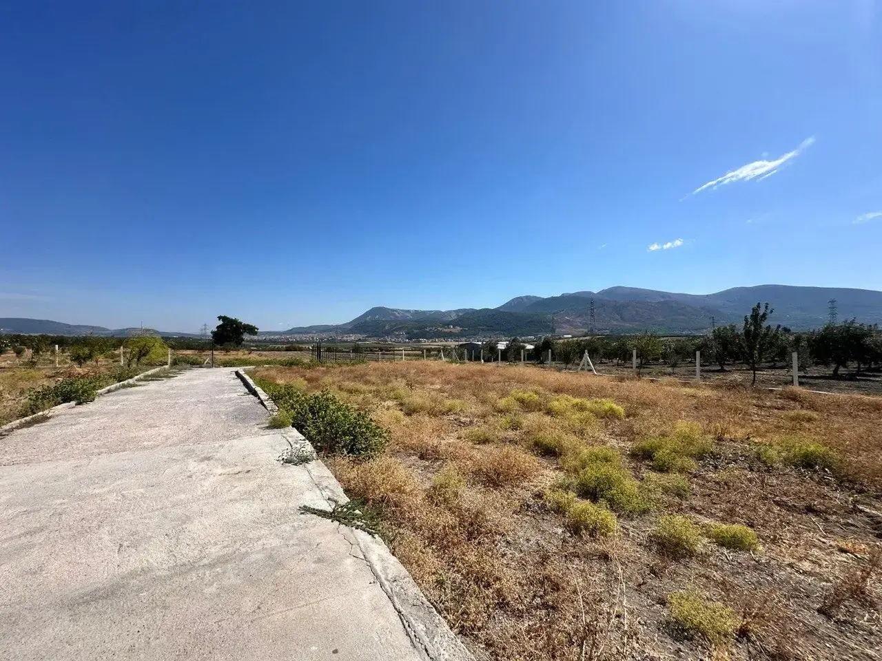 SOMA DUALAR'DA 12.350 M² SATILIK TARLA VE EV