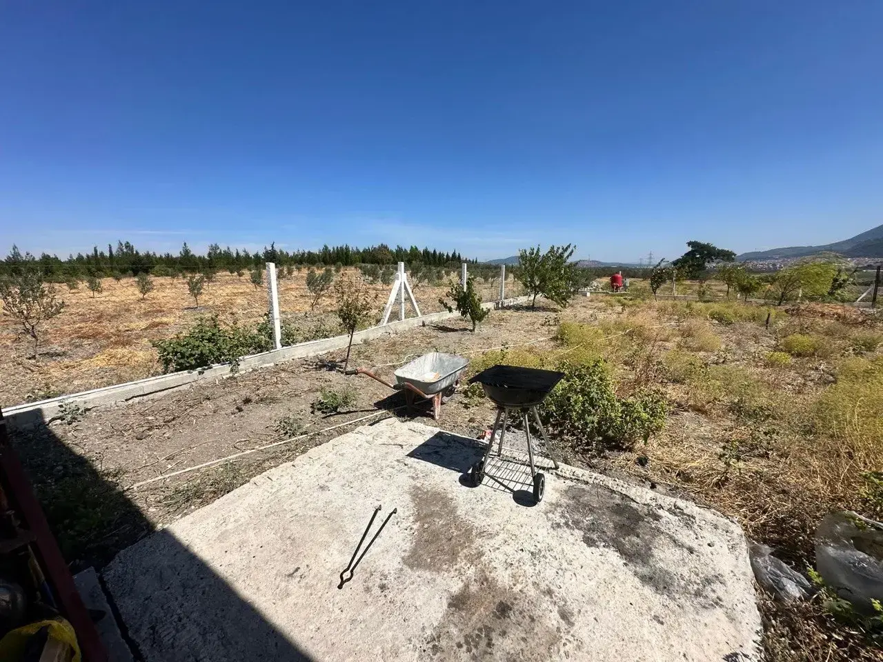 SOMA DUALAR'DA 12.350 M² SATILIK TARLA VE EV