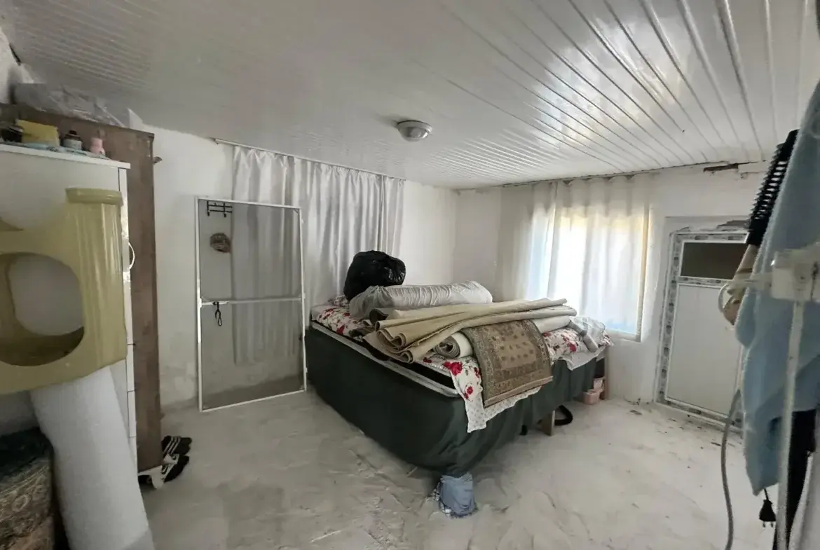 BÜYÜKIŞIKLAR MAHALLESİNDE YOLA SIFIR ZEYTİNLİK