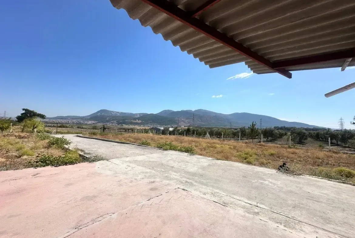 SOMA DUALAR'DA 12.350 M² SATILIK TARLA VE EV