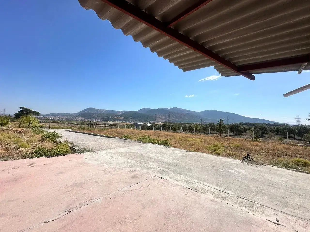 SOMA DUALAR'DA 12.350 M² SATILIK TARLA VE EV