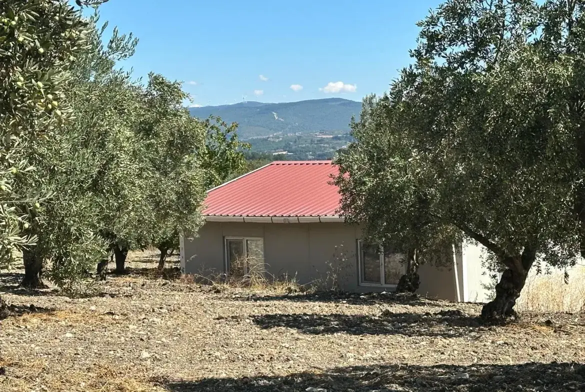 BÜYÜKIŞIKLAR MAHALLESİNDE YOLA SIFIR ZEYTİNLİK