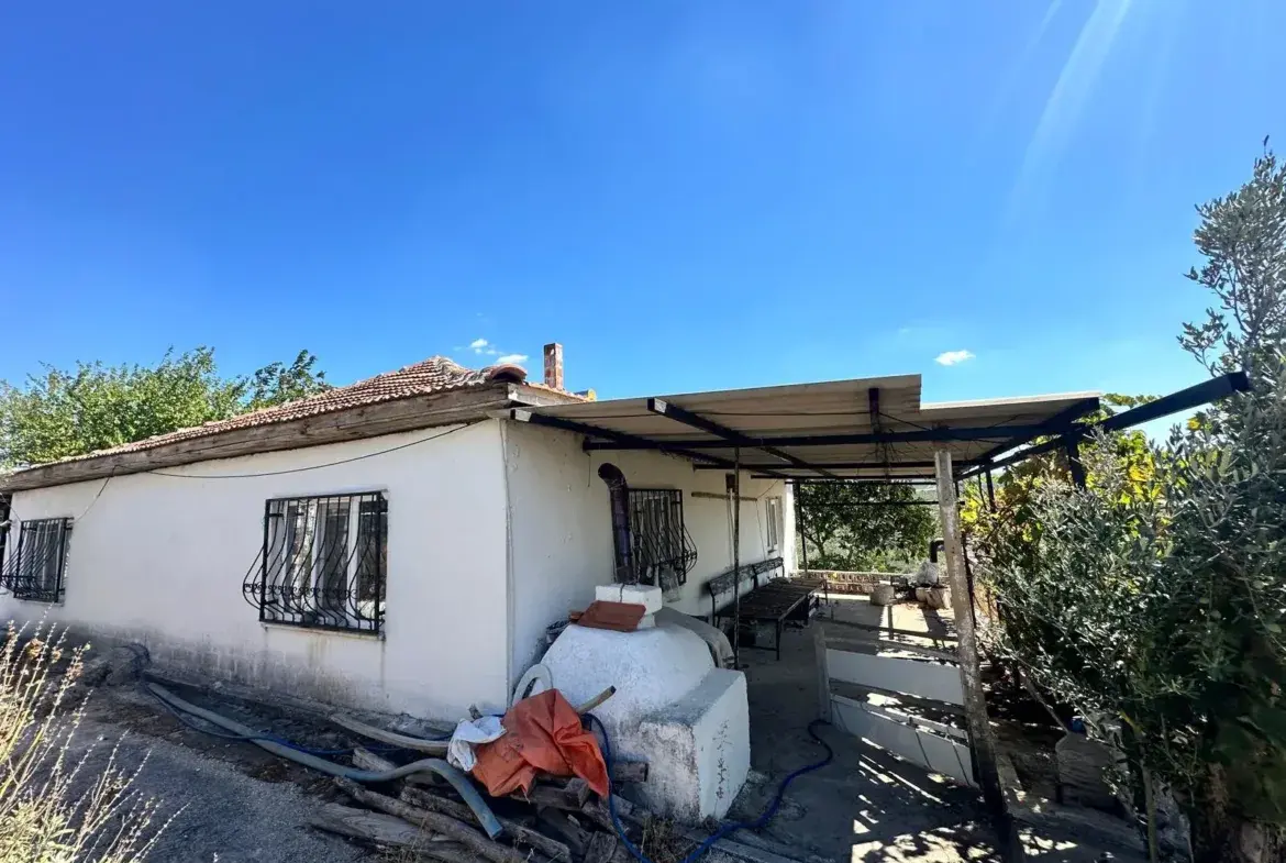BÜYÜKIŞIKLAR MAHALLESİNDE YOLA SIFIR ZEYTİNLİK