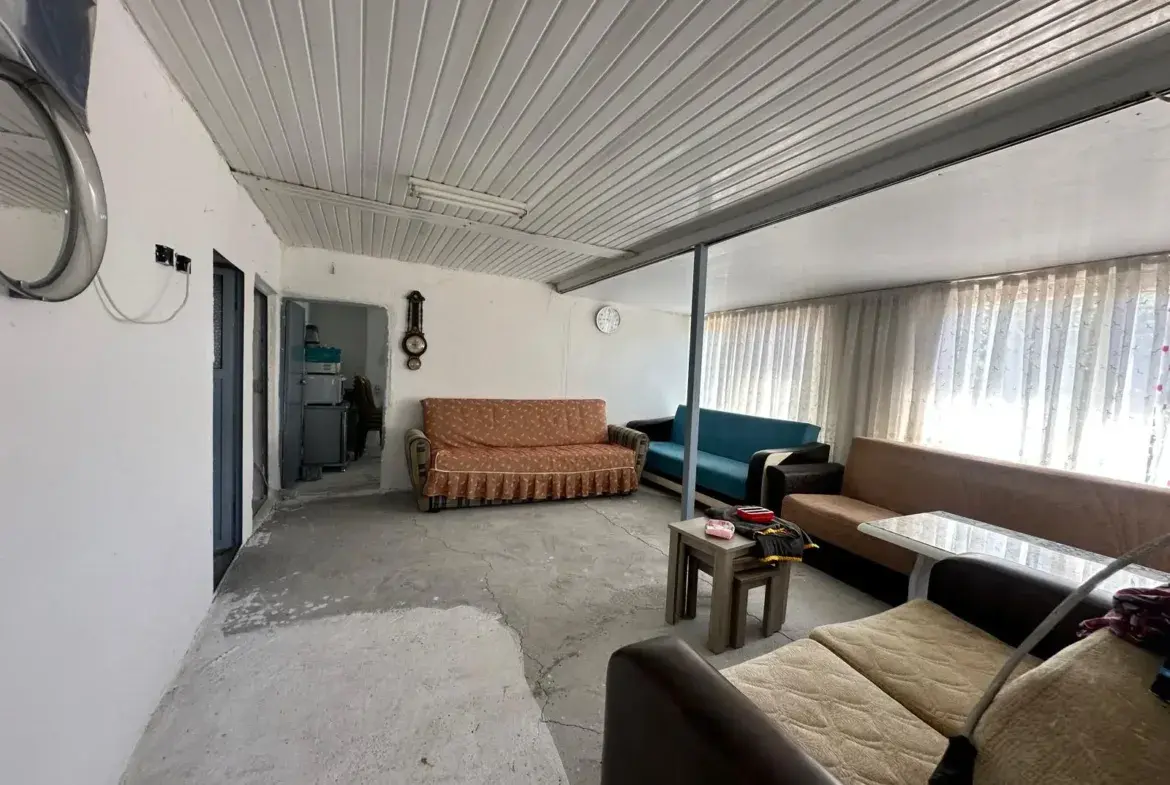 BÜYÜKIŞIKLAR MAHALLESİNDE YOLA SIFIR ZEYTİNLİK