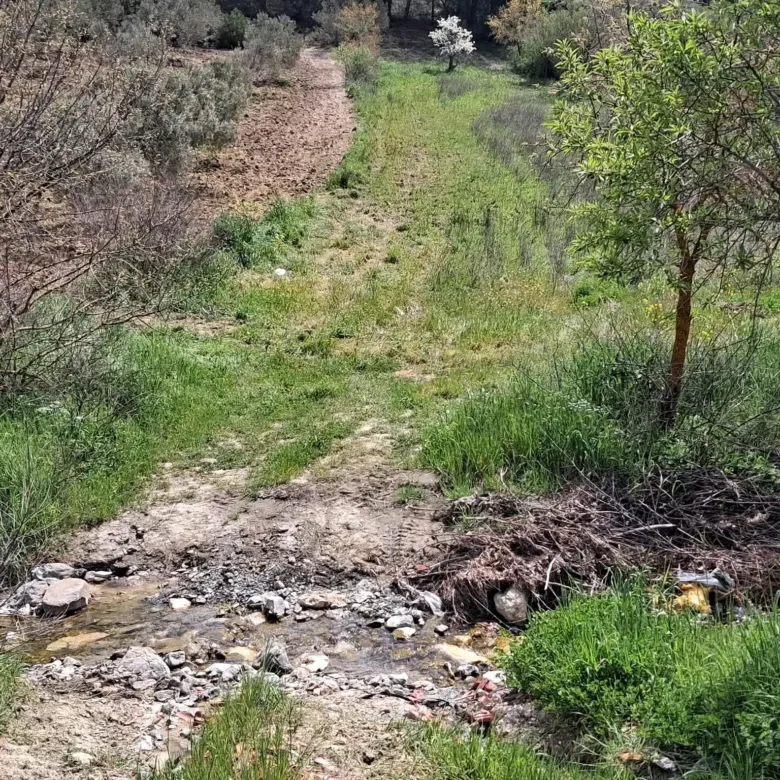 EVCİLER MAHALLESİNDE SATILIK HOBİ BAHÇESİ