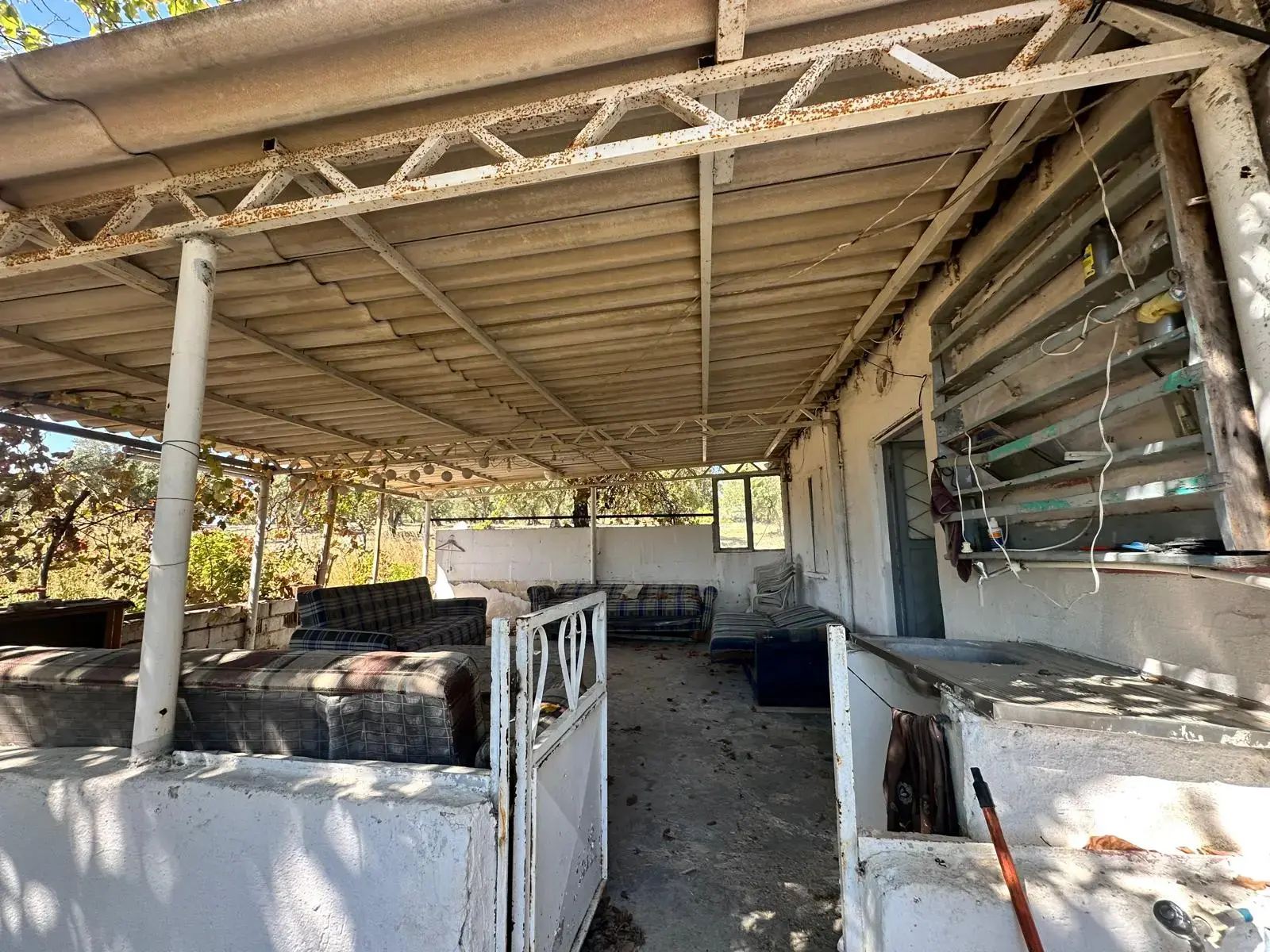 BÜYÜKIŞIKLAR MAHALLESİNDE YOLA SIFIR ZEYTİNLİK