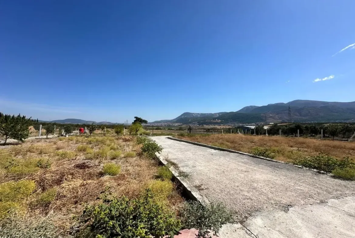 SOMA DUALAR'DA 12.350 M² SATILIK TARLA VE EV