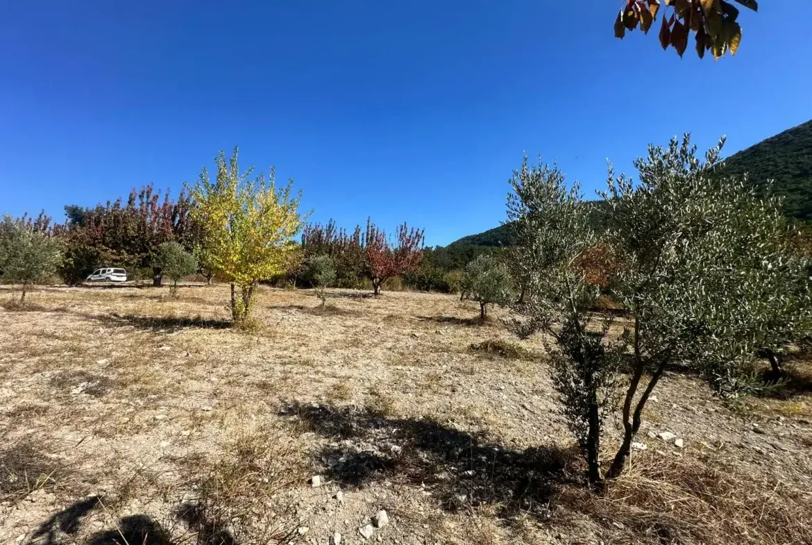 SOMA GÖKTAŞ MAHALLESİNDE SATILIK CEVİZLİK